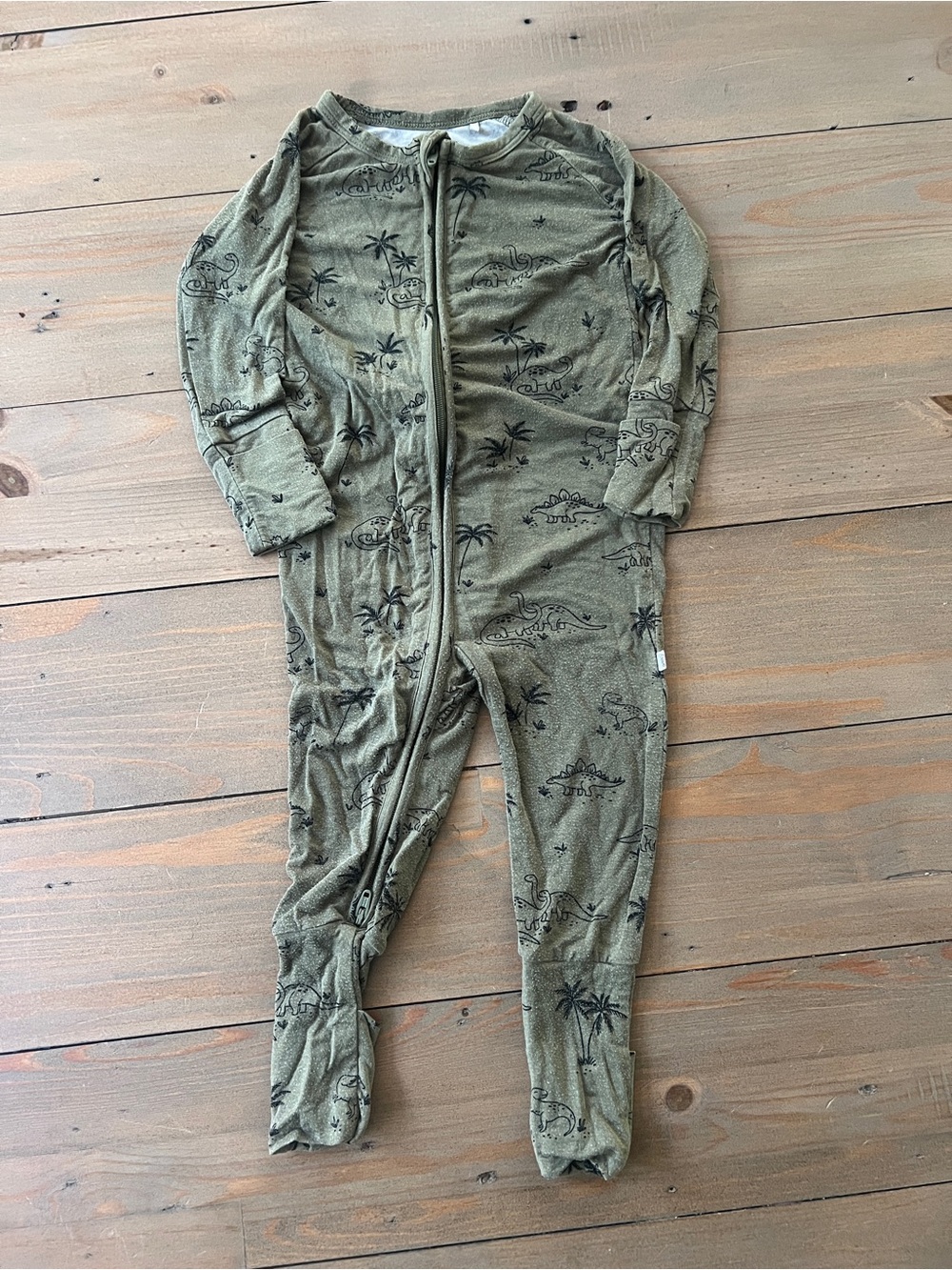 Brave Little Ones Bamboo Dinosaur Print Zip Footie Sleeper - 6-12M